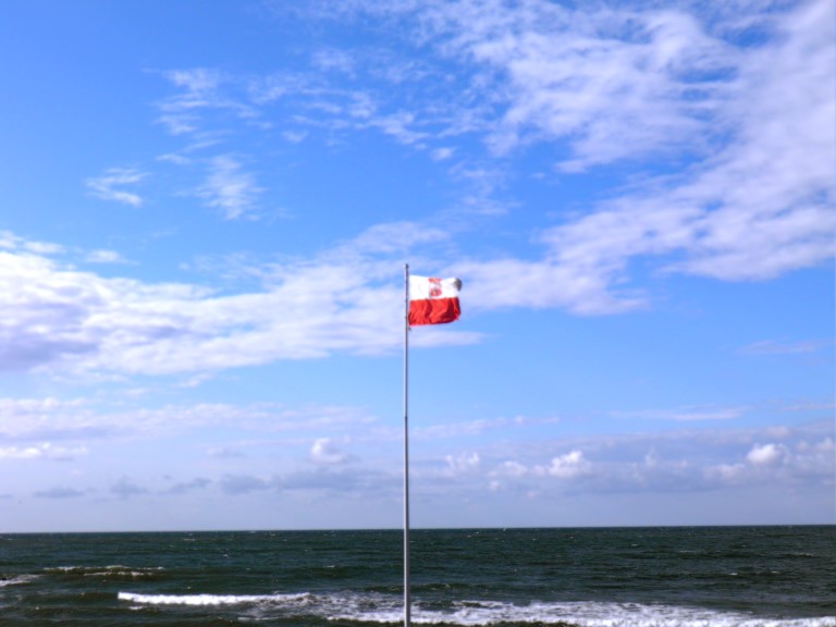 ../Images/P809051811 (321).jpg